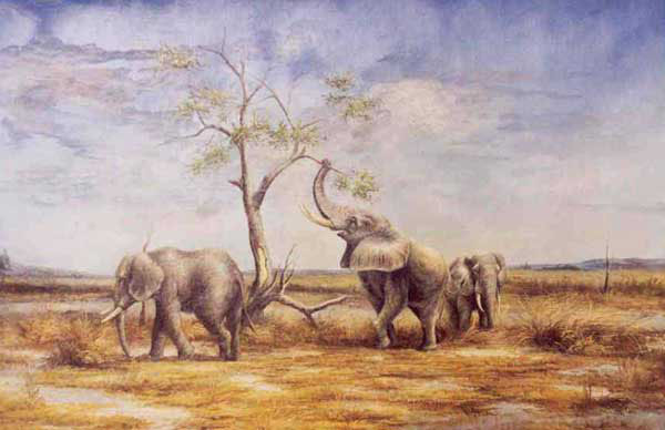 Elephant Paintings N020