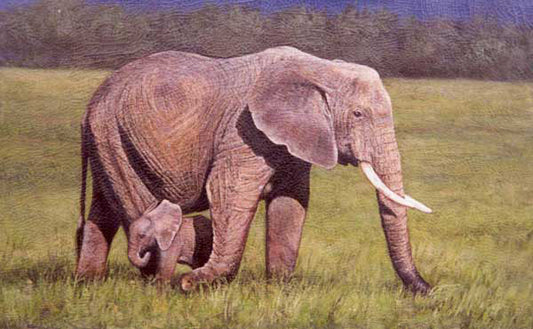 Elephant Paintings N021