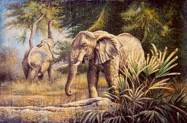 Elephant Paintings N022