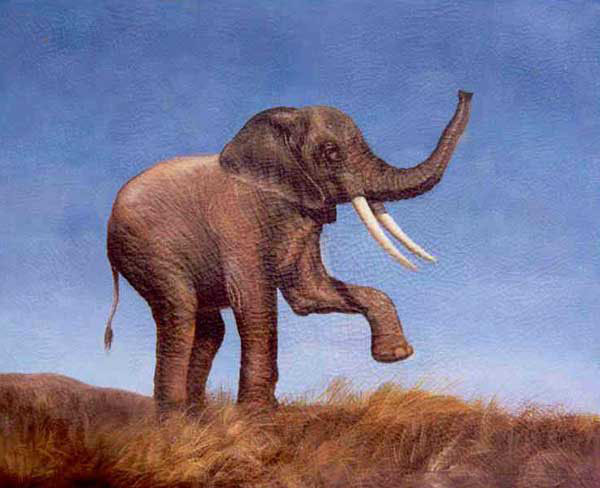 Elephant Paintings N023