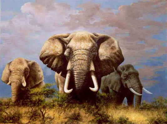 Elephant Paintings N024