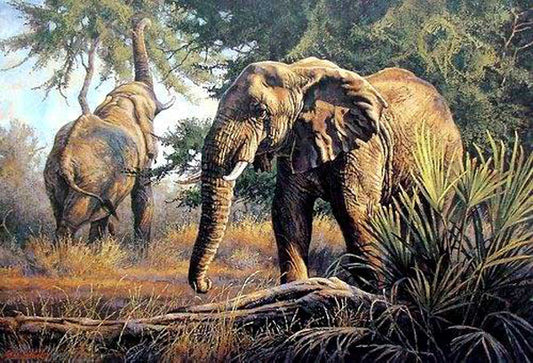 Elephant Paintings N025