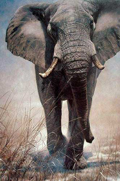 Elephant Paintings N029