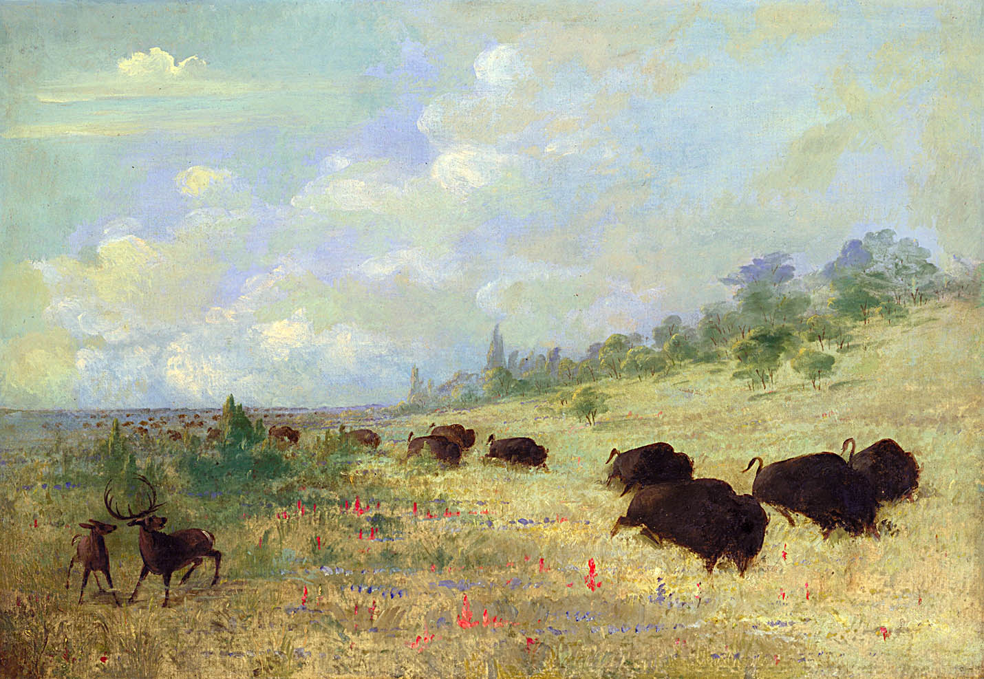 Elk and Buffalo Grazing among Prairie Flowers, Texas