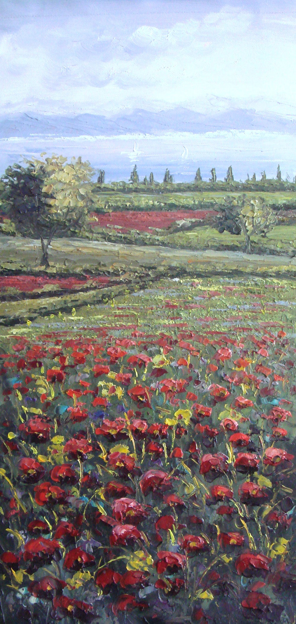 Field Paintings N016