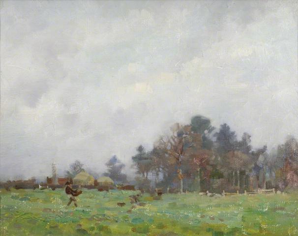 Field and Trees