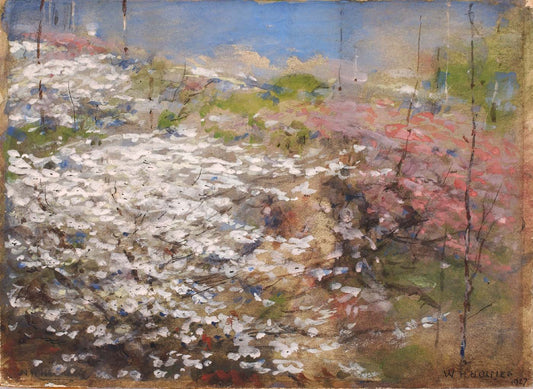 Field of Blossoms