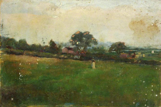 Fields and Village