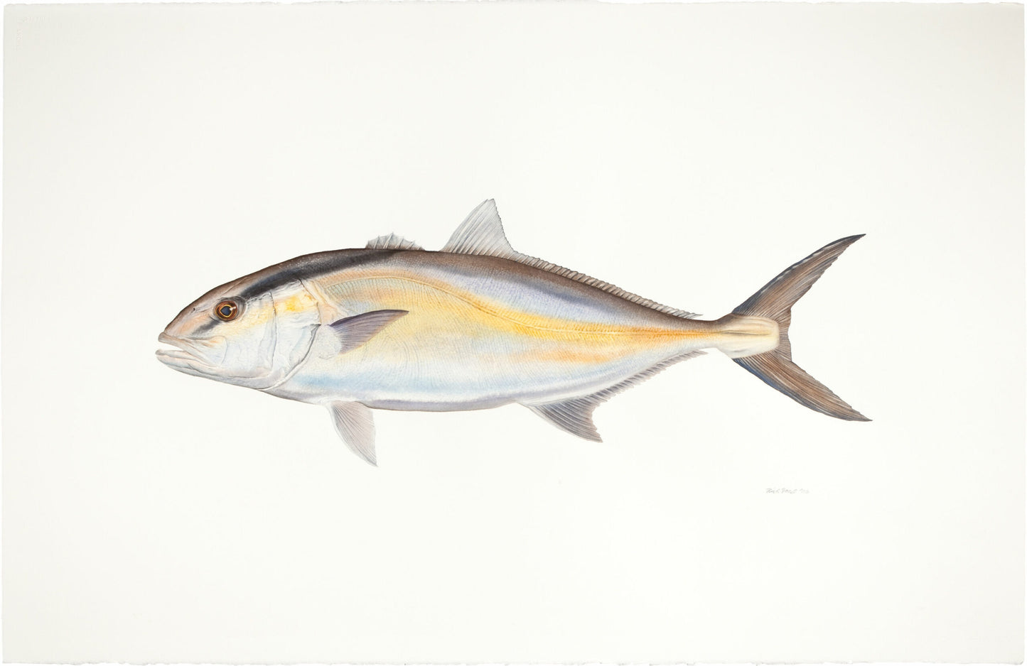 Fish Painting N005