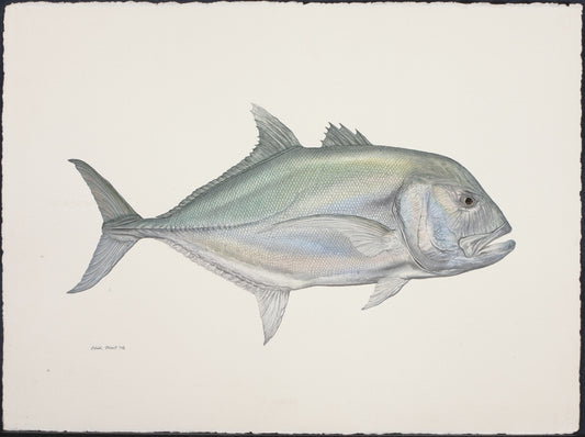 Fish Painting N007