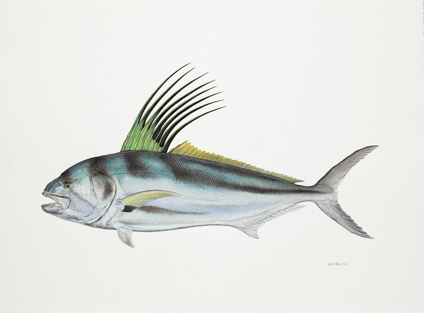 Fish Painting N011