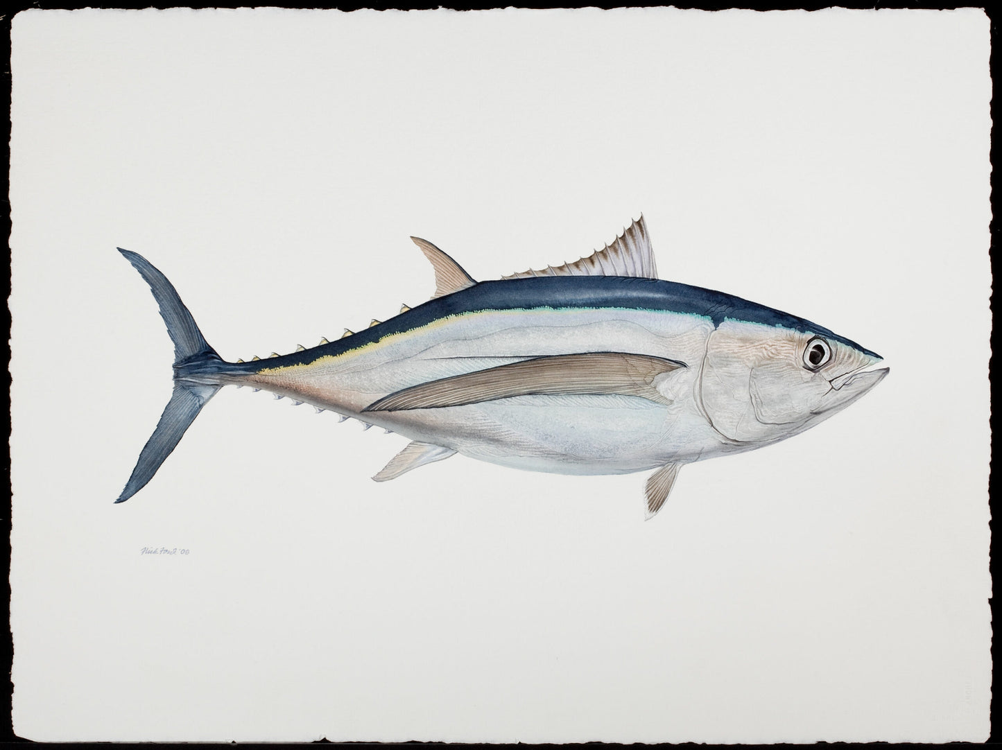 Fish Painting N017