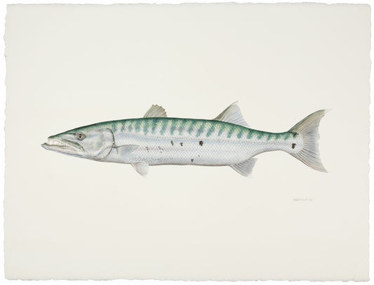 Fish Painting N018