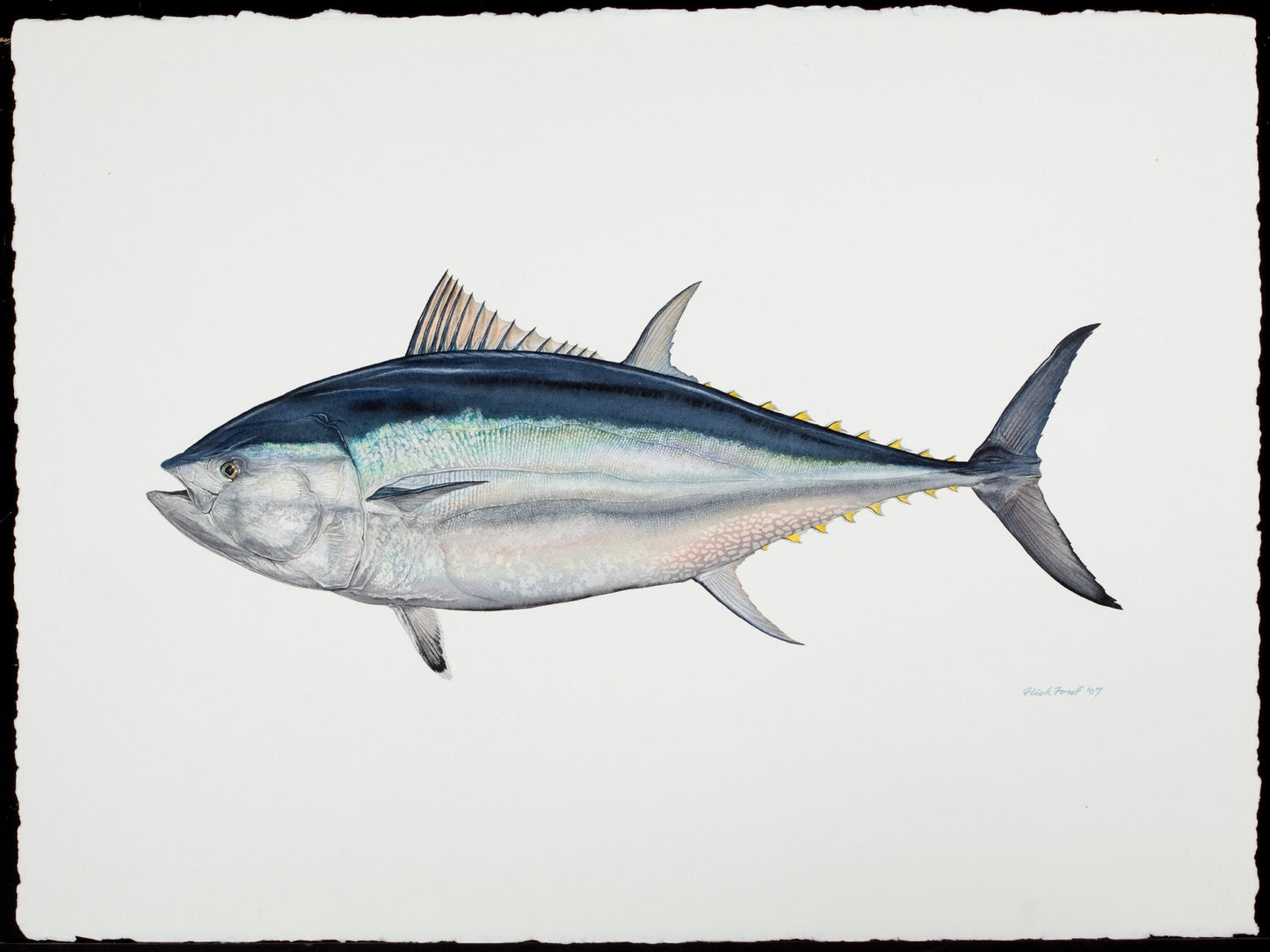 Fish Painting N019