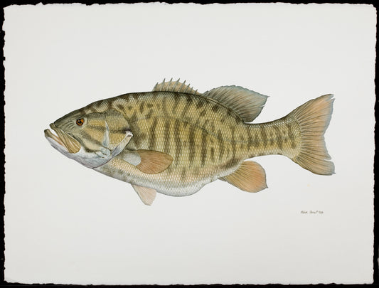 Fish Painting N025