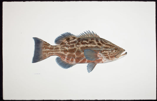 Fish Painting N056