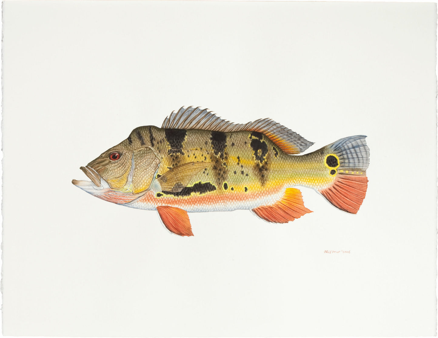 Fish Painting N066