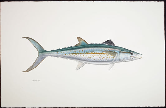 Fish Painting N067