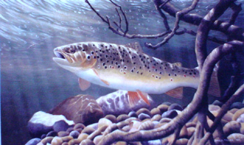 Fish Paintings N009