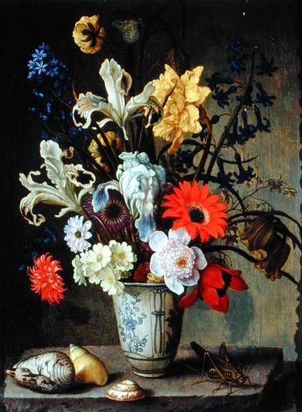 Floral Study with beaker grasshopper and seashells