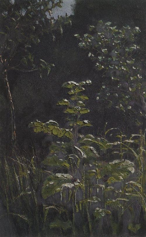 Forest Burdock 1898 1908