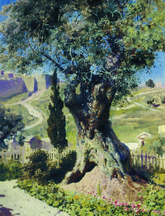 An Olive Tree In The Garden Of Gethsemane