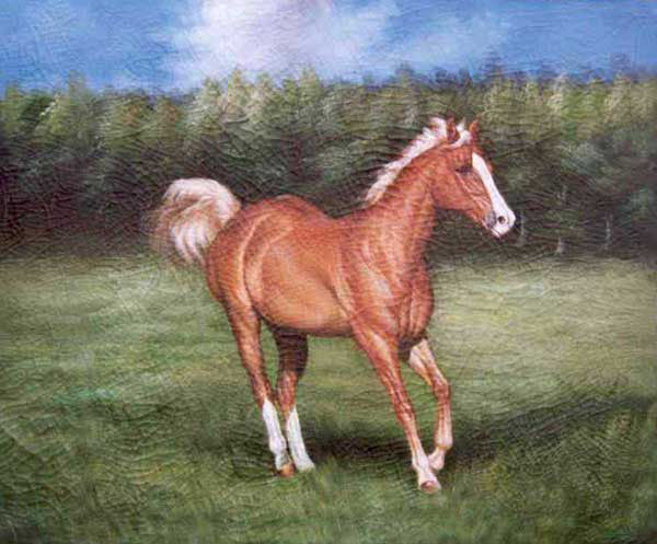 Horse Paintings N019