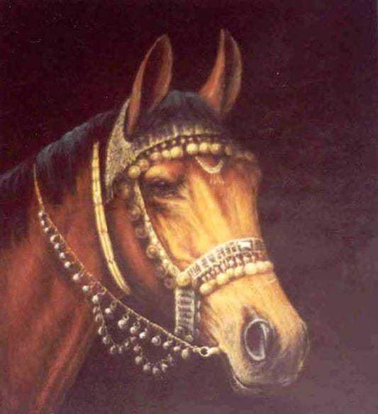 Horse Paintings N021