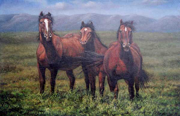 Horse Paintings N022