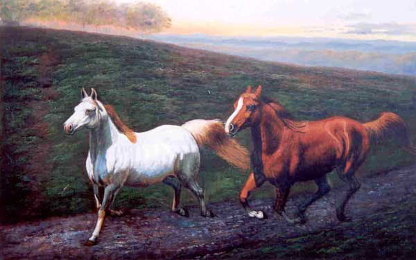 Horse Paintings N024