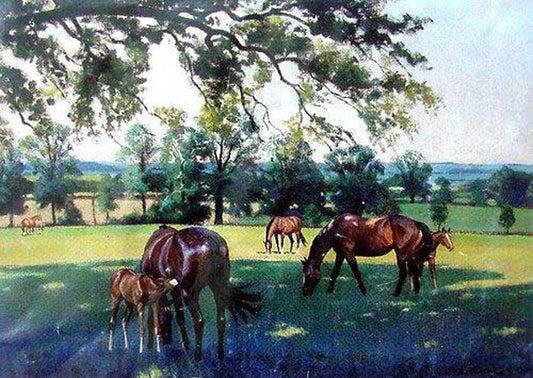 Horse Paintings N025