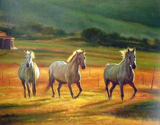 Horse Paintings N028