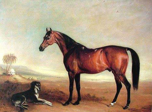 Horse Paintings N038