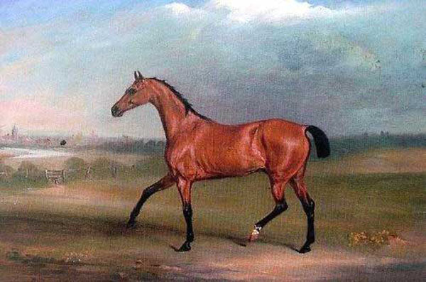 Horse Paintings N039