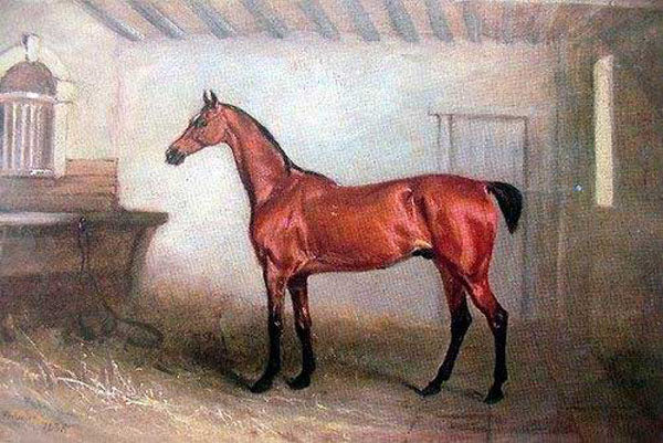 Horse Paintings N040