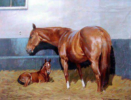 Horse Paintings N042