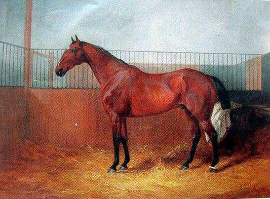 Horse Paintings N044