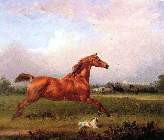 Horse Paintings N046