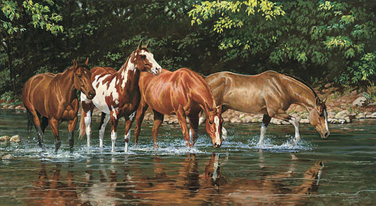 Horse Paintings N231