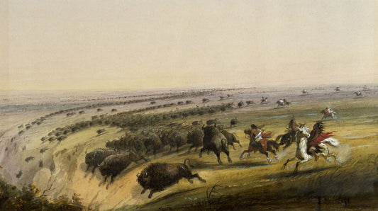 Hunting Buffalo