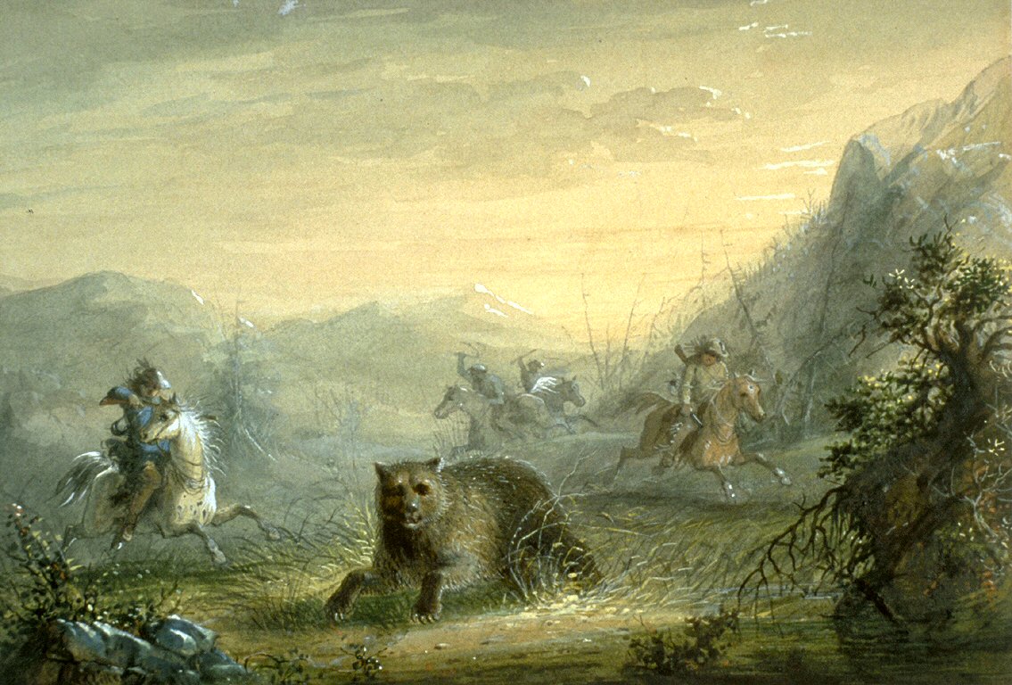 Hunting The Bear