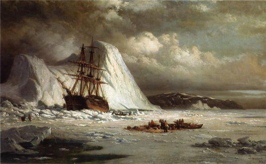 Icebound Ship