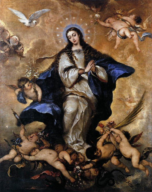 Immaculate Conception b