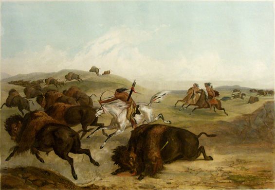 Indians Hunting the Bison