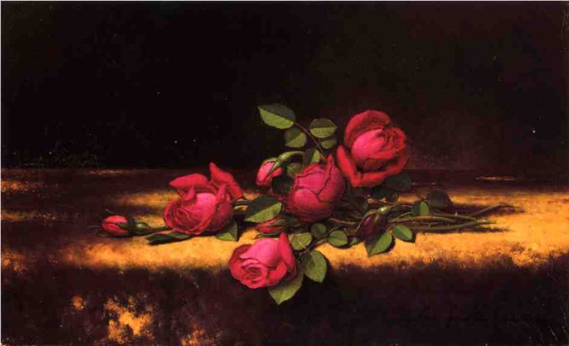 Jaqueminot Roses