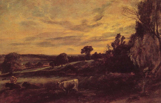 Landscape Evening