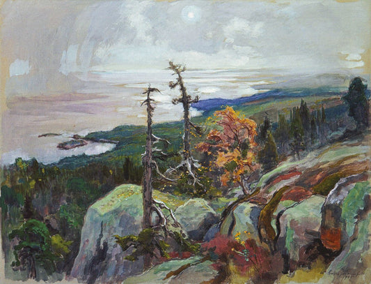 Koli