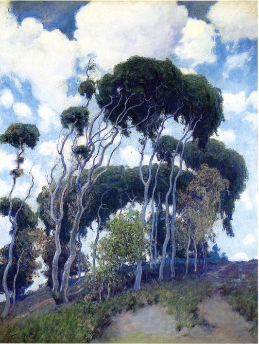 Laguna Eucalyptus