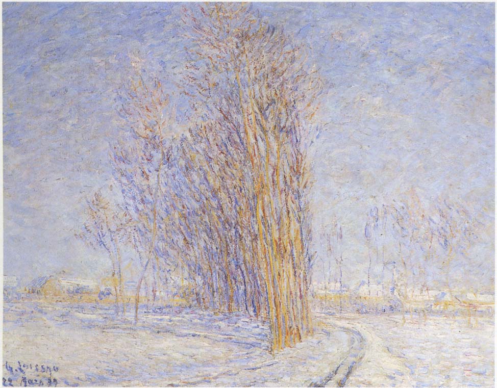 Landscape in Snow