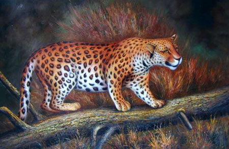 Leopard Paintings N002